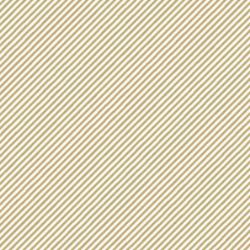 Afbeeldingen van Kraft cadeaupapier 30cm 250m - It’s a line white